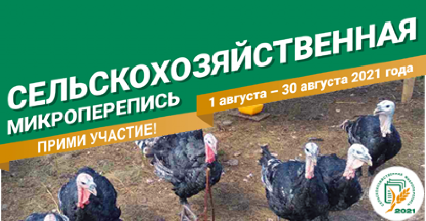 Десять дней сельскохозяйственной микропереписи 2021 года в Нижегородской области